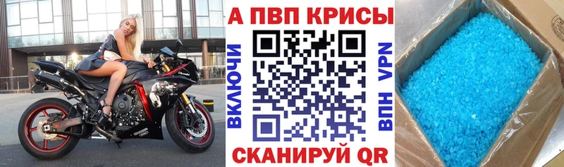A PVP СК  Кашин 