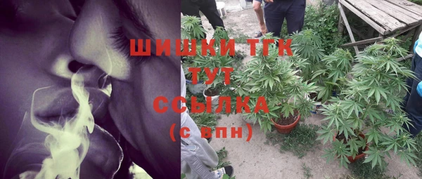 мдпв Богородицк