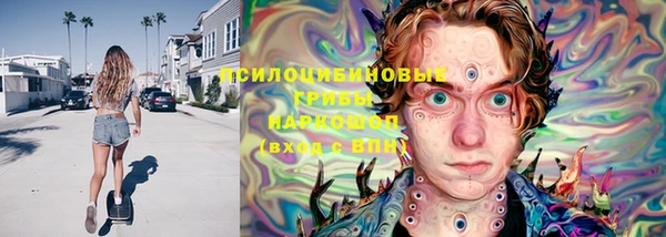 марки nbome Богданович