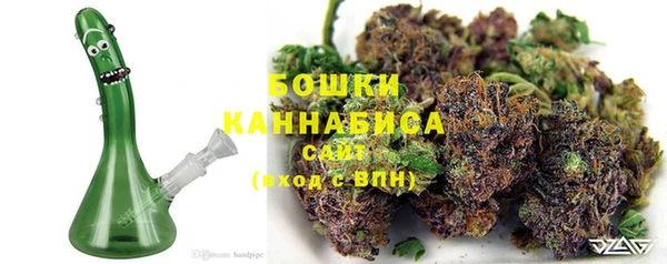 мдпв Богородицк