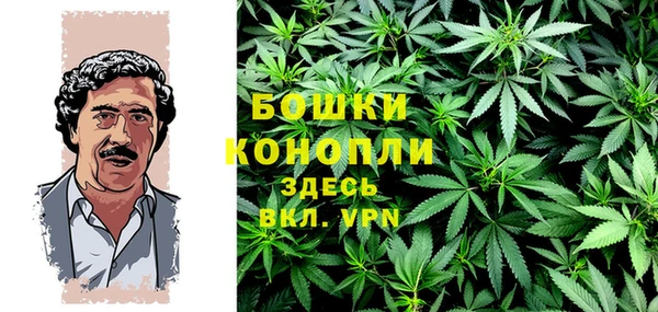ГАЛЛЮЦИНОГЕННЫЕ ГРИБЫ Богородск