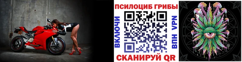 Галлюциногенные грибы мицелий  Кашин 