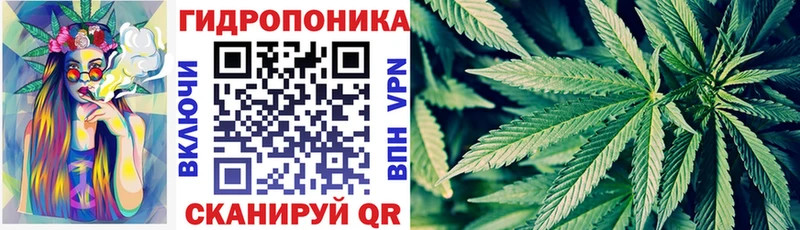 МАРИХУАНА сатива Кашин